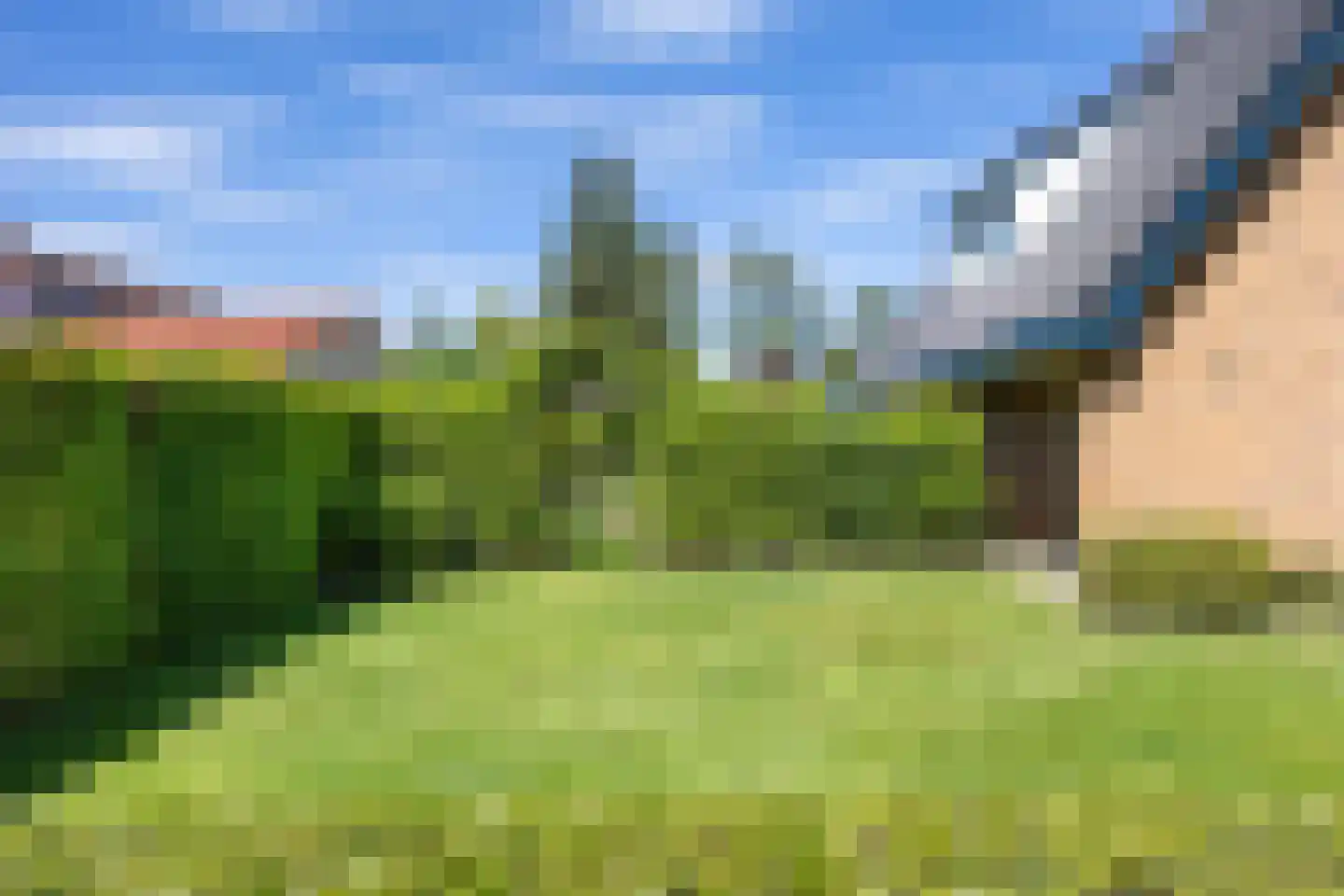 Zuiderbuuren 5 Marum thumbnail 77