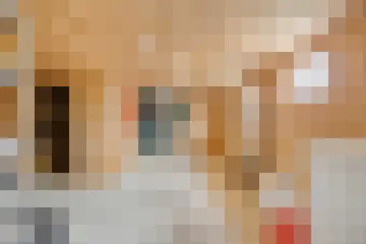 Zuiderdiep 10 Valthermond thumbnail 24