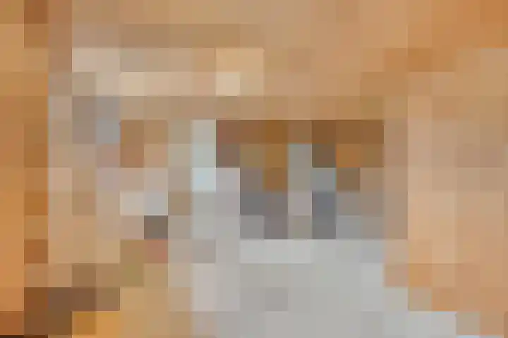 Zuiderdiep 10 Valthermond thumbnail 25