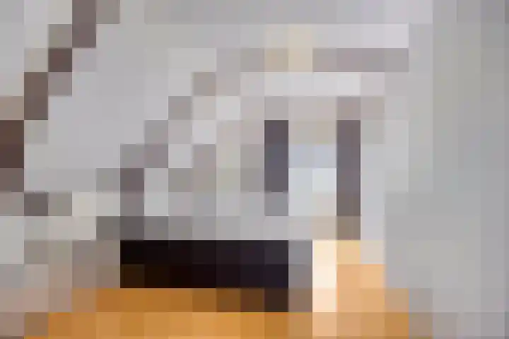 Zuiderdiep 10 Valthermond thumbnail 28