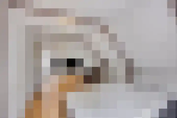 Zuiderdiep 10 Valthermond thumbnail 29
