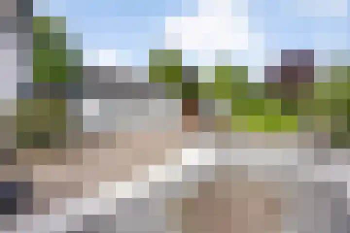 Zuiderdiep 10 Valthermond thumbnail 34