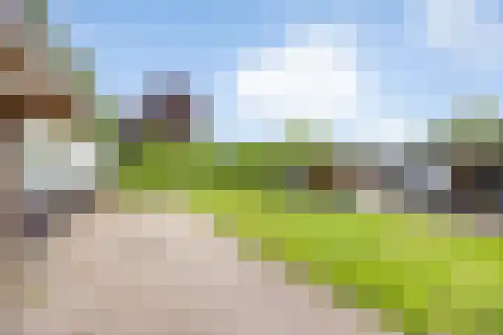 Zuiderdiep 10 Valthermond thumbnail 35