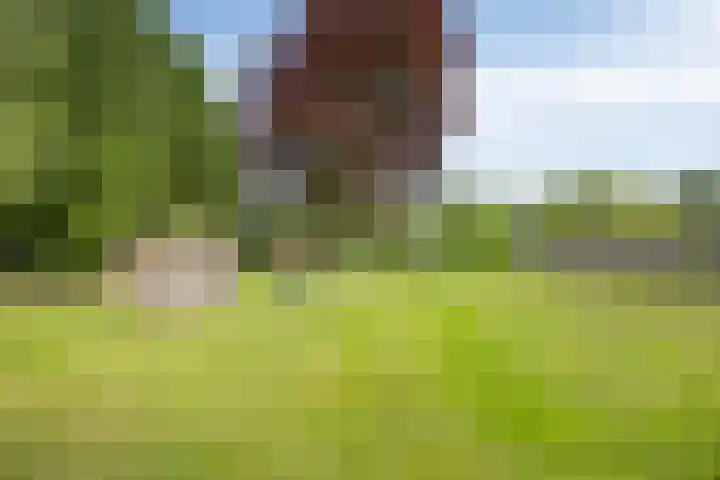 Zuiderdiep 10 Valthermond thumbnail 37