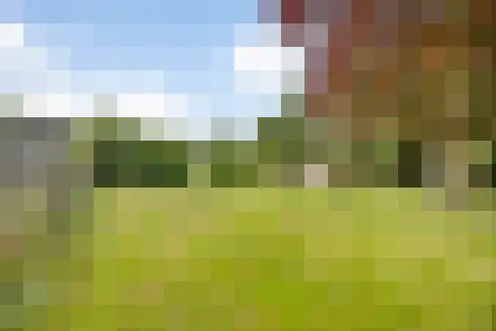 Zuiderdiep 10 Valthermond thumbnail 38