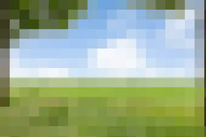 Zuiderdiep 10 Valthermond thumbnail 41