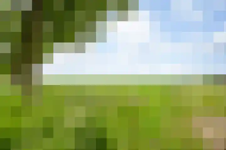 Zuiderdiep 10 Valthermond thumbnail 42