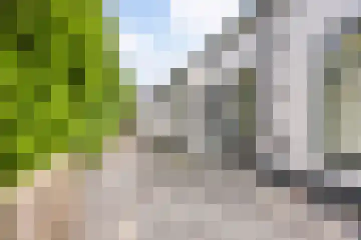 Zuiderdiep 10 Valthermond thumbnail 5