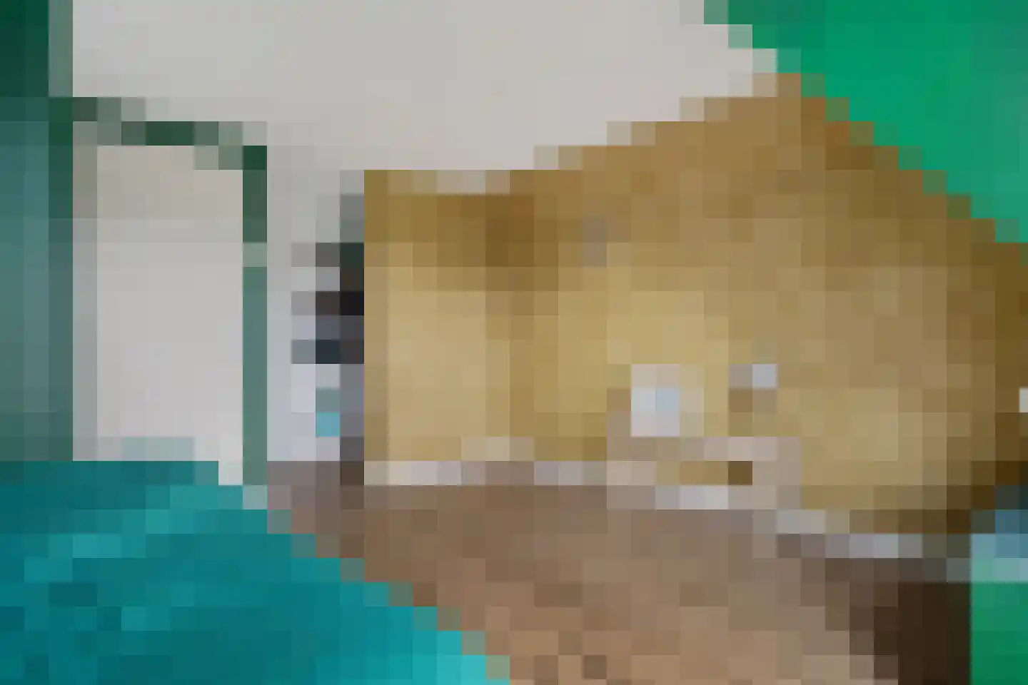 Zuiderdiep 102 2e Exloërmond thumbnail 30