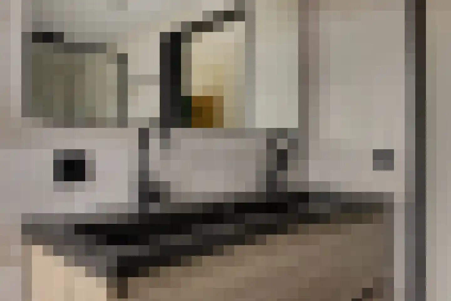 Zuiderdiep 102 2e Exloërmond thumbnail 32