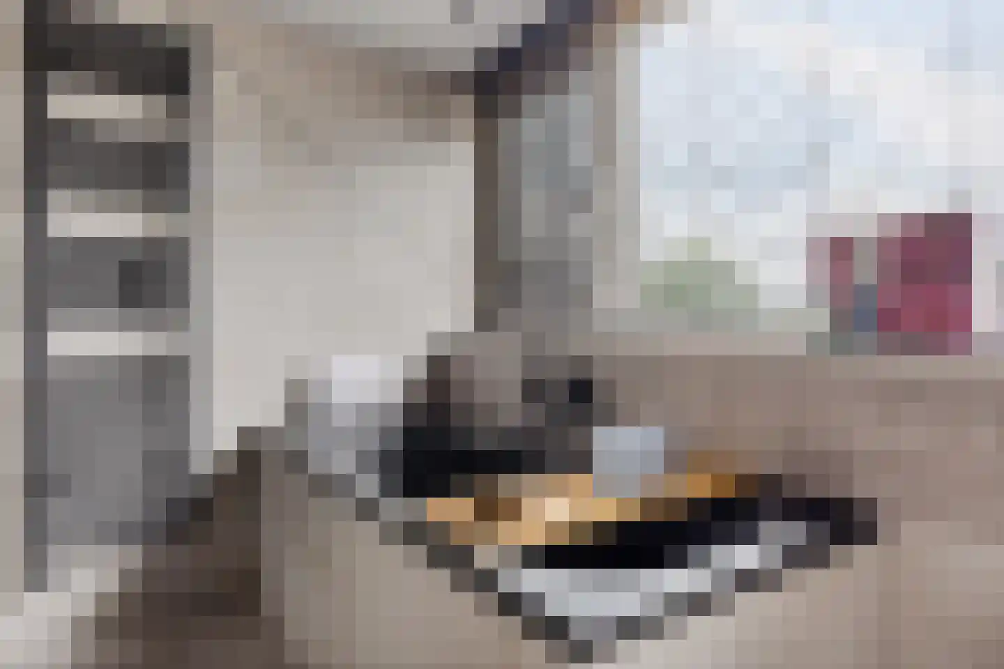 Zuiderdiep 102 2e Exloërmond thumbnail 33