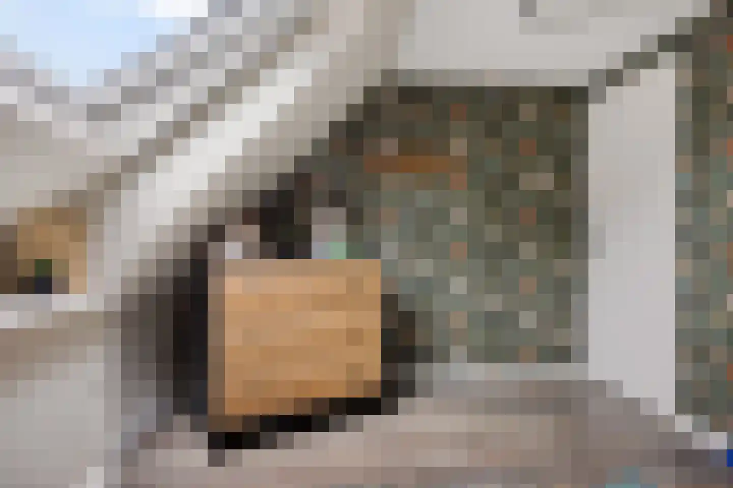 Zuiderdiep 102 2e Exloërmond thumbnail 41