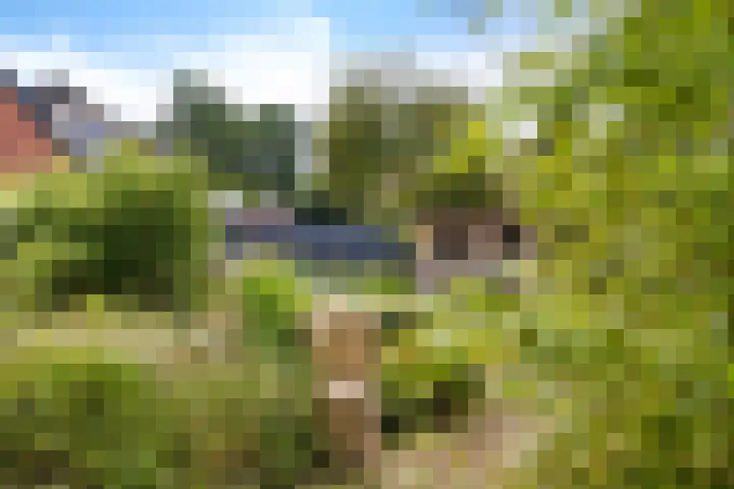 Zuiderdiep 102 2e Exloërmond thumbnail 48