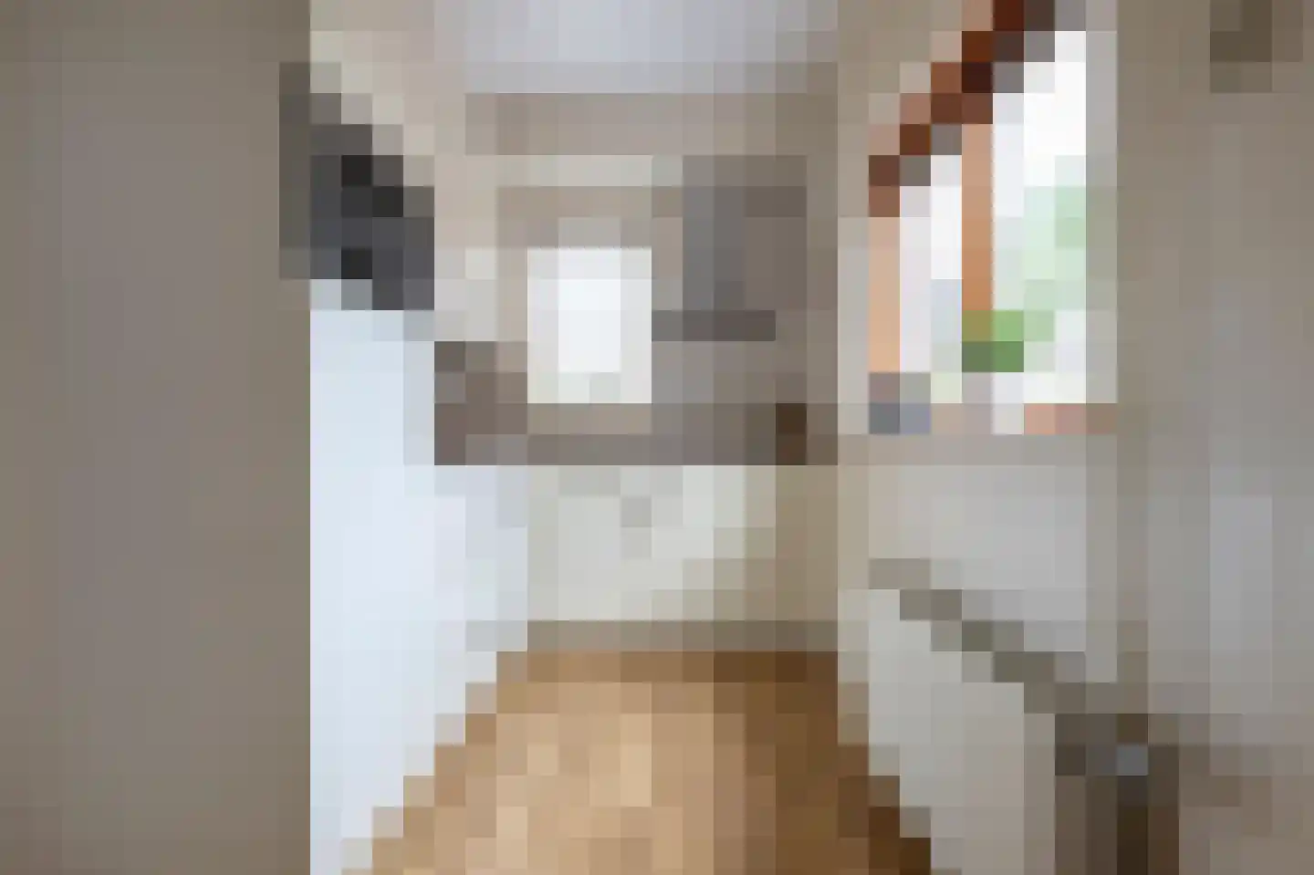 Zuiderdiep 12 2e Exloërmond thumbnail 12