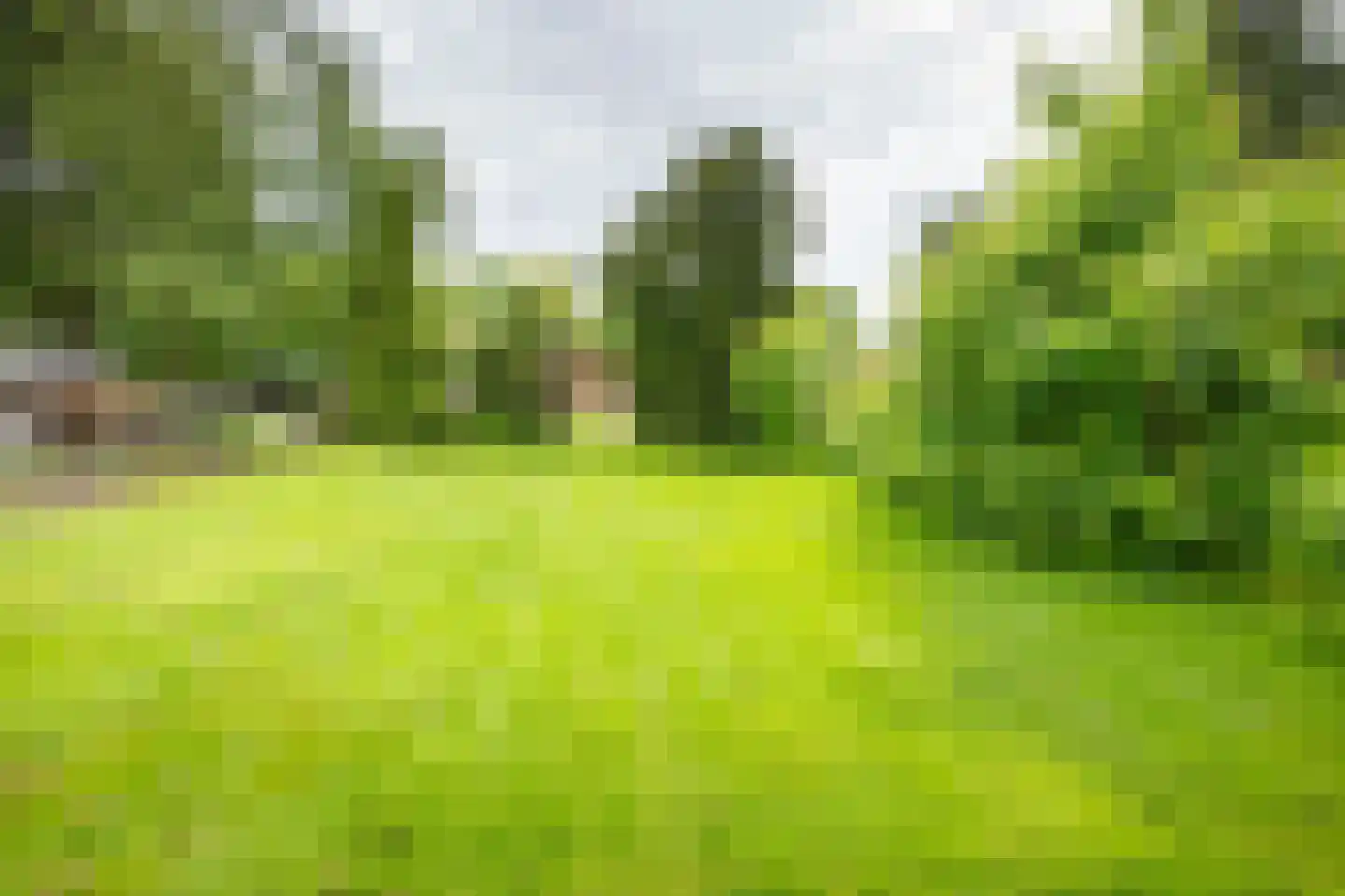 Zuiderdiep 12 2e Exloërmond thumbnail 25