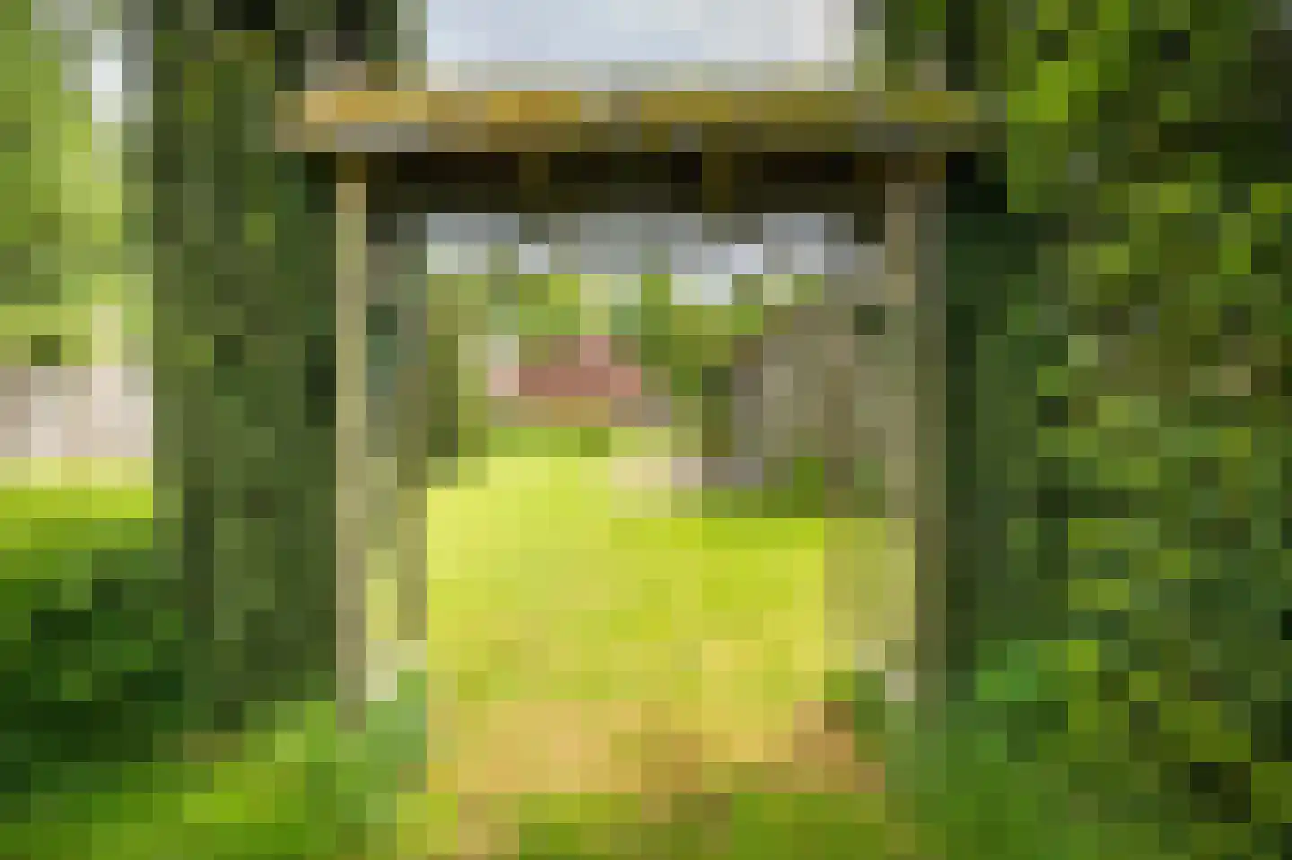 Zuiderdiep 12 2e Exloërmond thumbnail 26