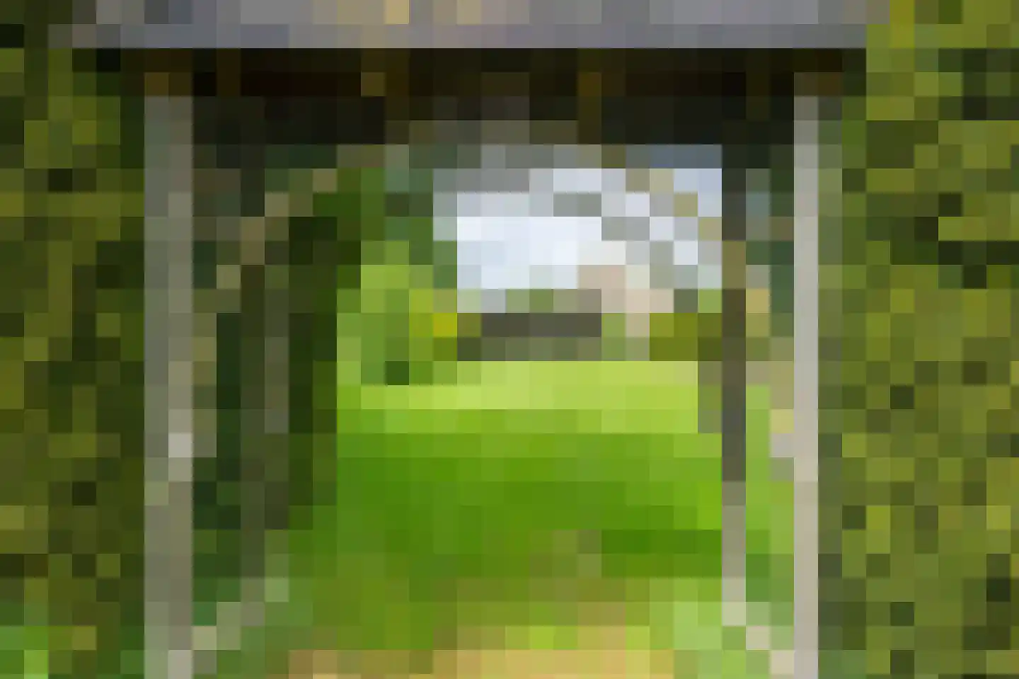 Zuiderdiep 12 2e Exloërmond thumbnail 27