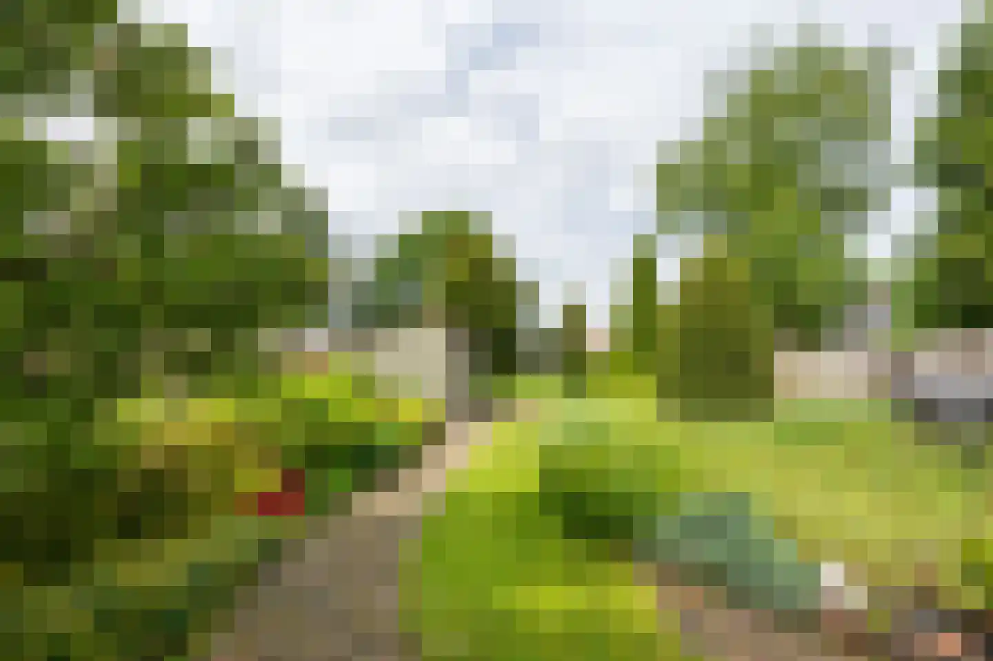 Zuiderdiep 12 2e Exloërmond thumbnail 29