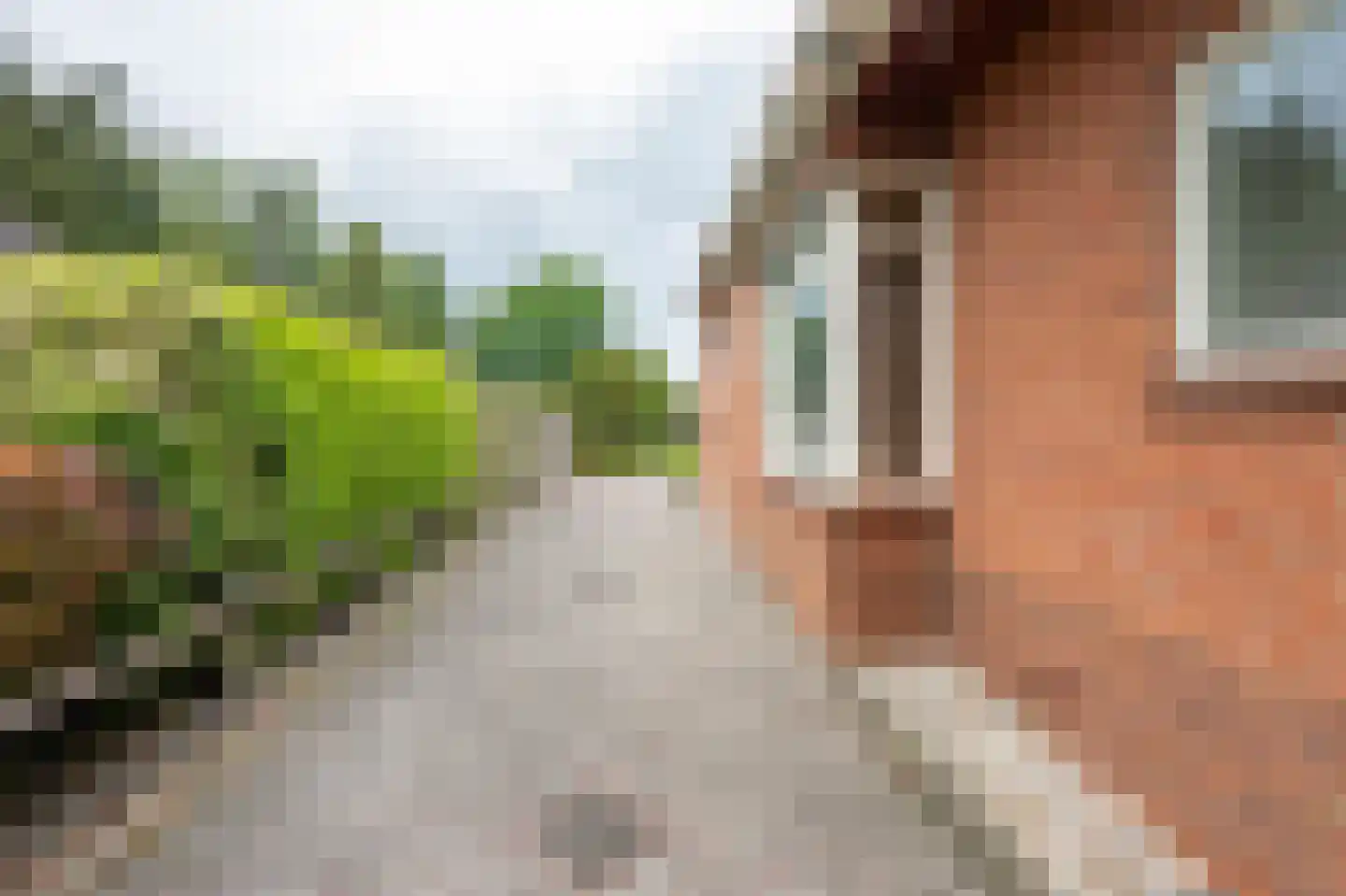 Zuiderdiep 12 2e Exloërmond thumbnail 32