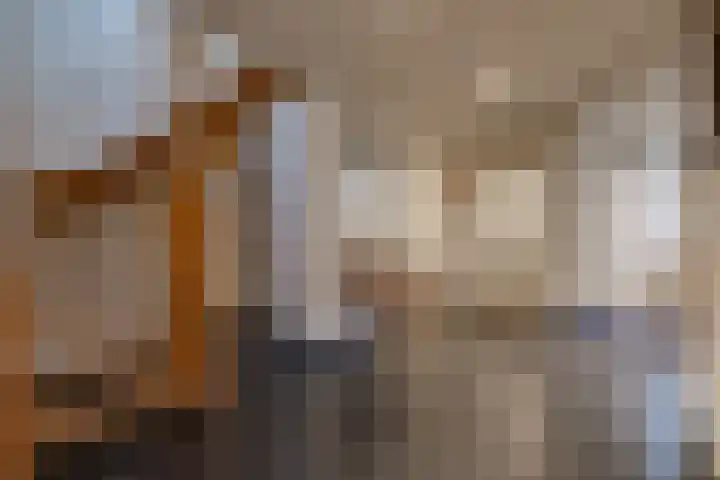 Zuiderdiep 135 Nieuw-Buinen thumbnail 13