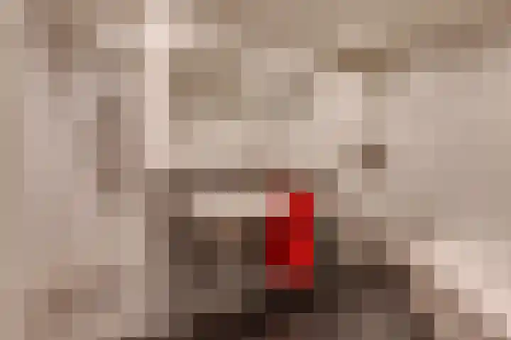 Zuiderdiep 135 Nieuw-Buinen thumbnail 17