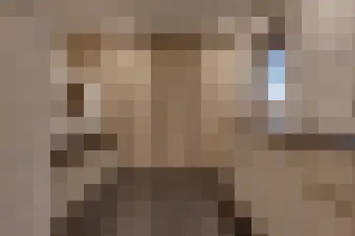 Zuiderdiep 135 Nieuw-Buinen thumbnail 24