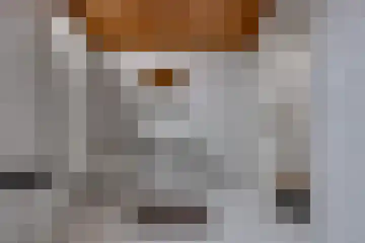 Zuiderdiep 135 Nieuw-Buinen thumbnail 31