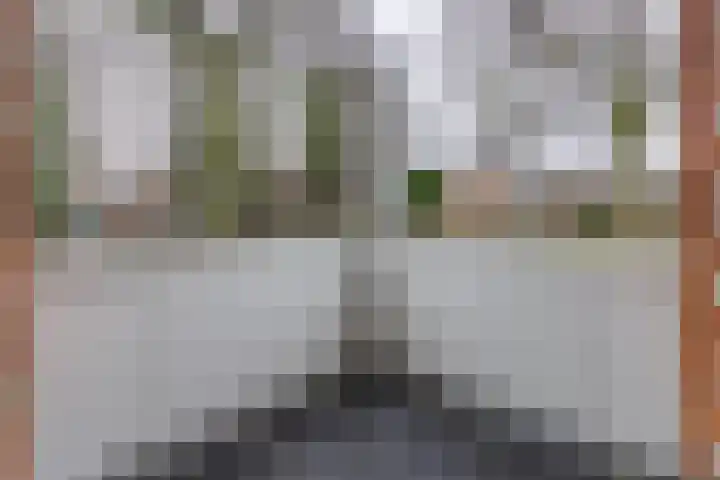 Zuiderdiep 135 Nieuw-Buinen thumbnail 34