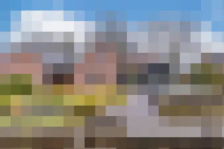 Zuiderdiep 135 Nieuw-Buinen thumbnail 44