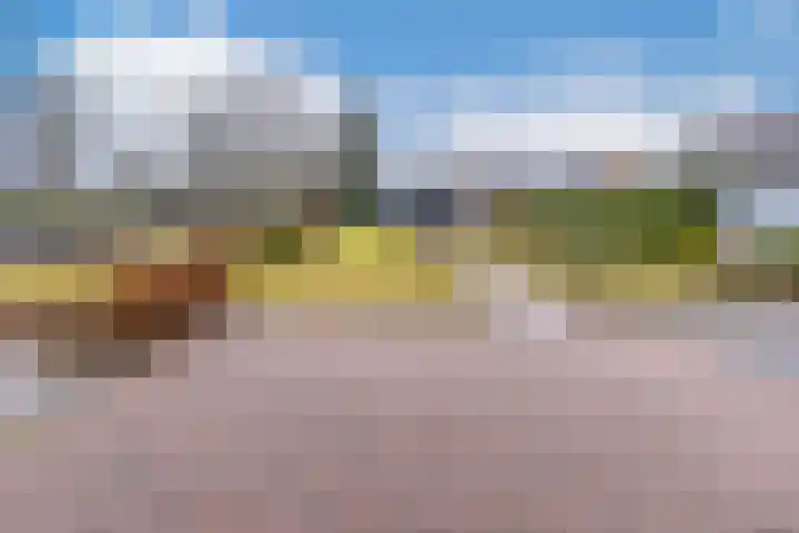 Zuiderdiep 135 Nieuw-Buinen thumbnail 46