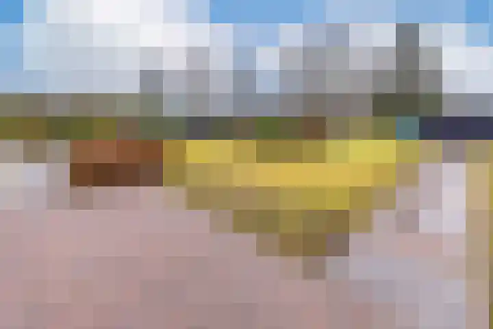 Zuiderdiep 135 Nieuw-Buinen thumbnail 47