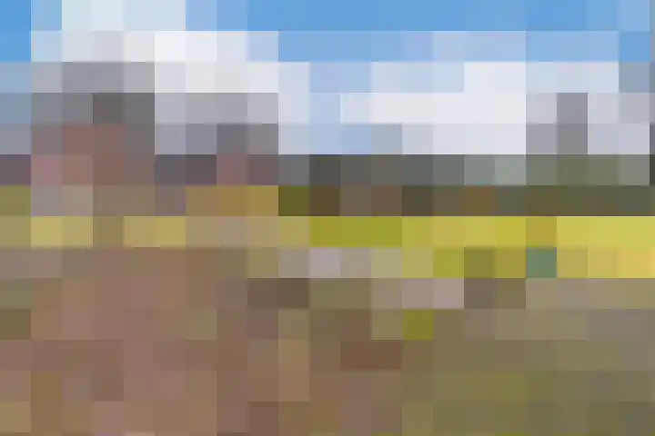 Zuiderdiep 135 Nieuw-Buinen thumbnail 49