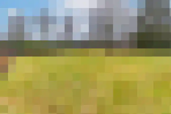 Zuiderdiep 135 Nieuw-Buinen thumbnail 50