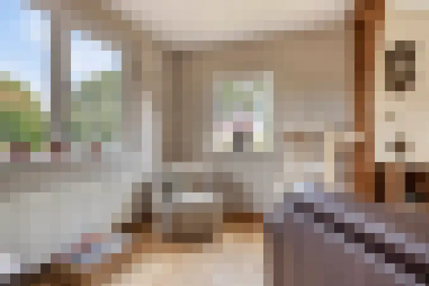 Zuiderdiep 140 B Valthermond thumbnail 18