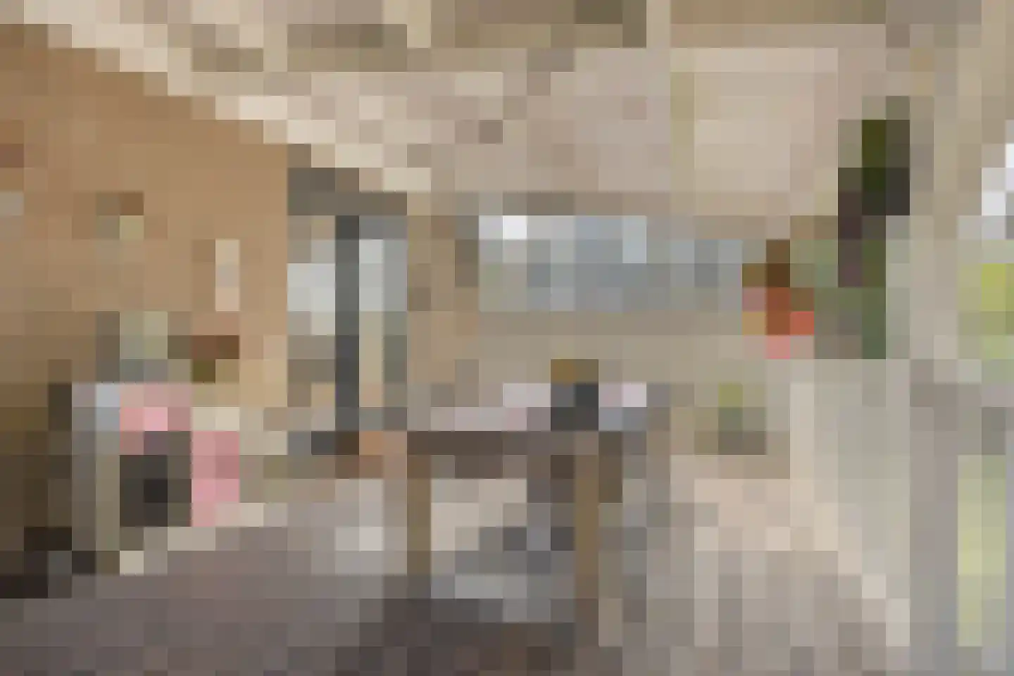 Zuiderdiep 140 B Valthermond thumbnail 27