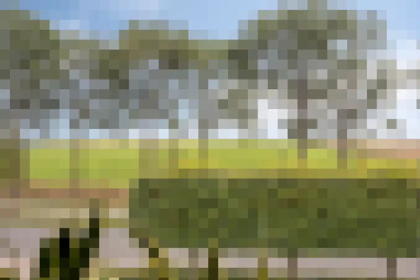 Zuiderdiep 140 B Valthermond thumbnail 36