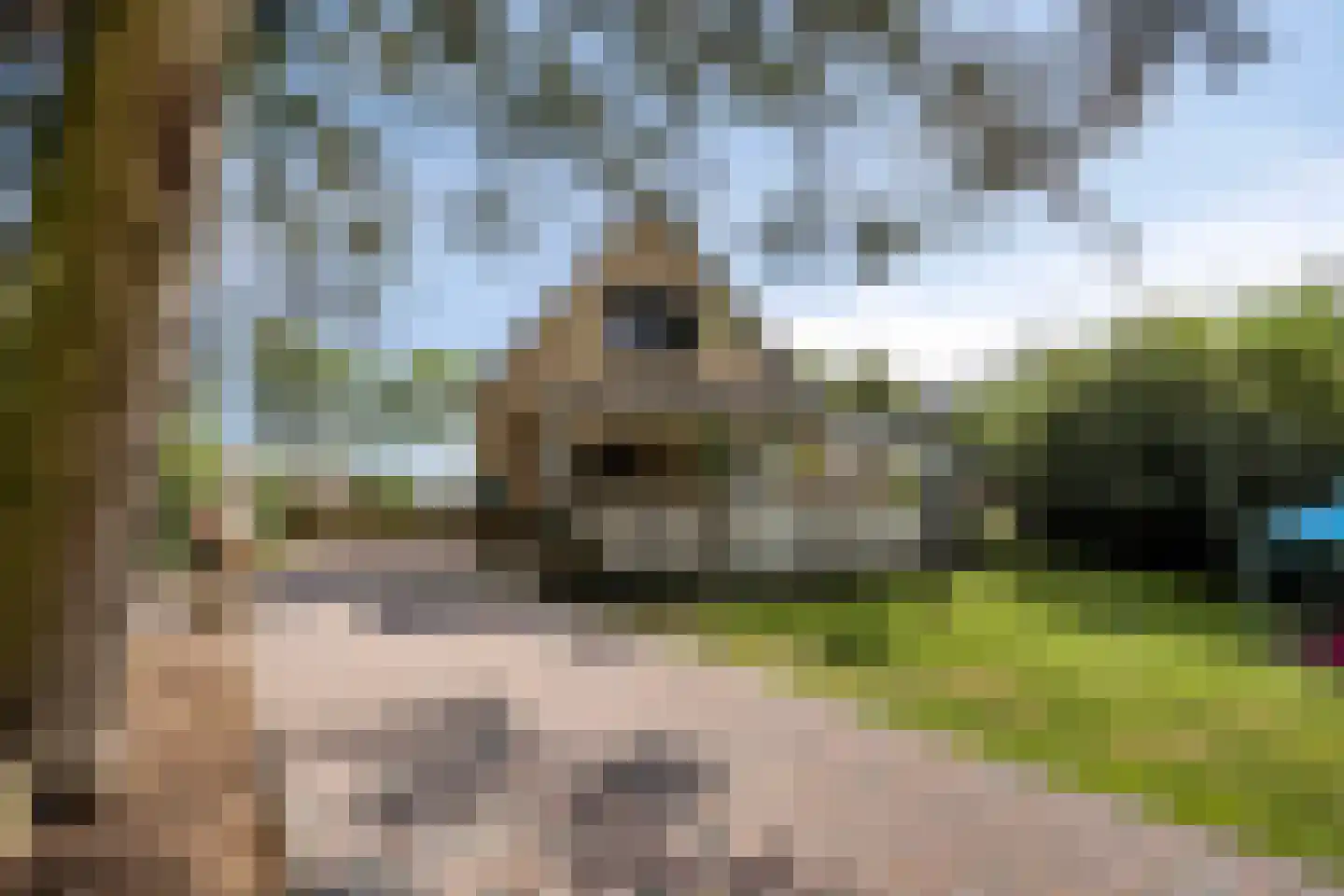 Zuiderdiep 140 B Valthermond thumbnail 43