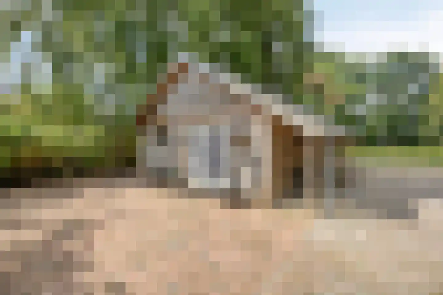 Zuiderdiep 140 B Valthermond thumbnail 46