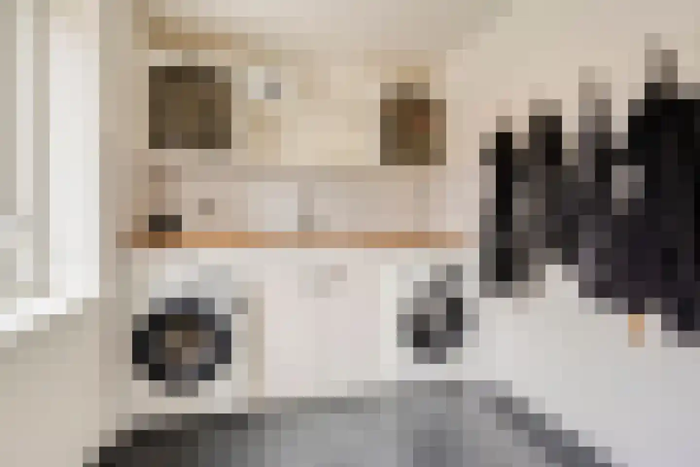 Zuiderdiep 141 2e Exloërmond thumbnail 21