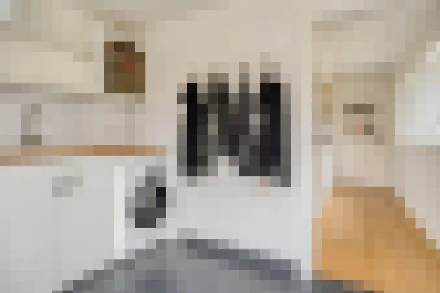 Zuiderdiep 141 2e Exloërmond thumbnail 22