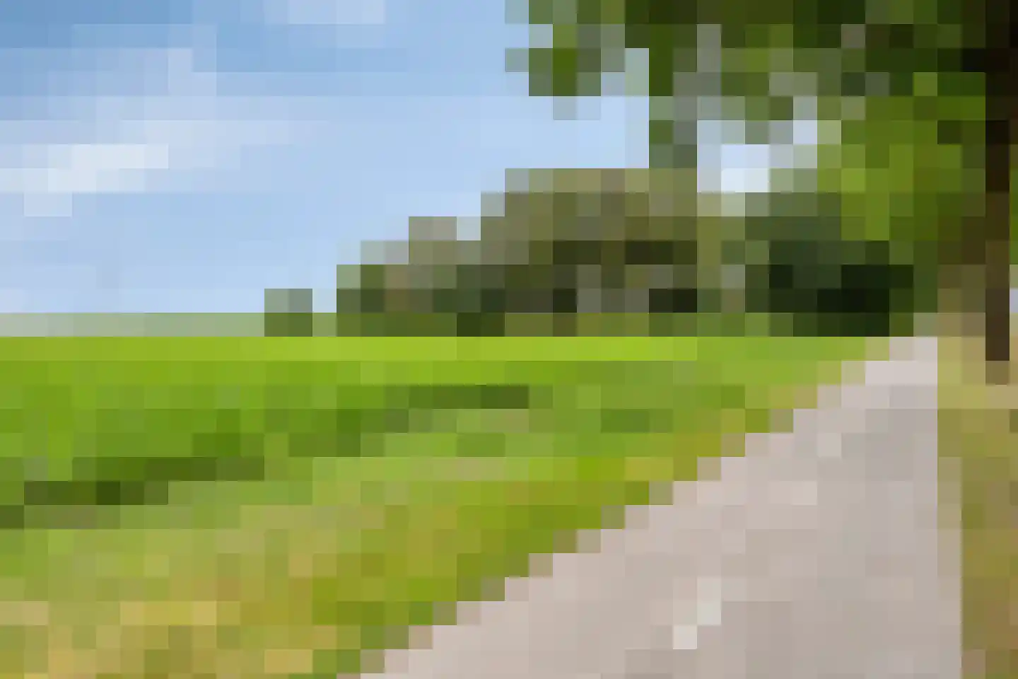 Zuiderdiep 141 2e Exloërmond thumbnail 39