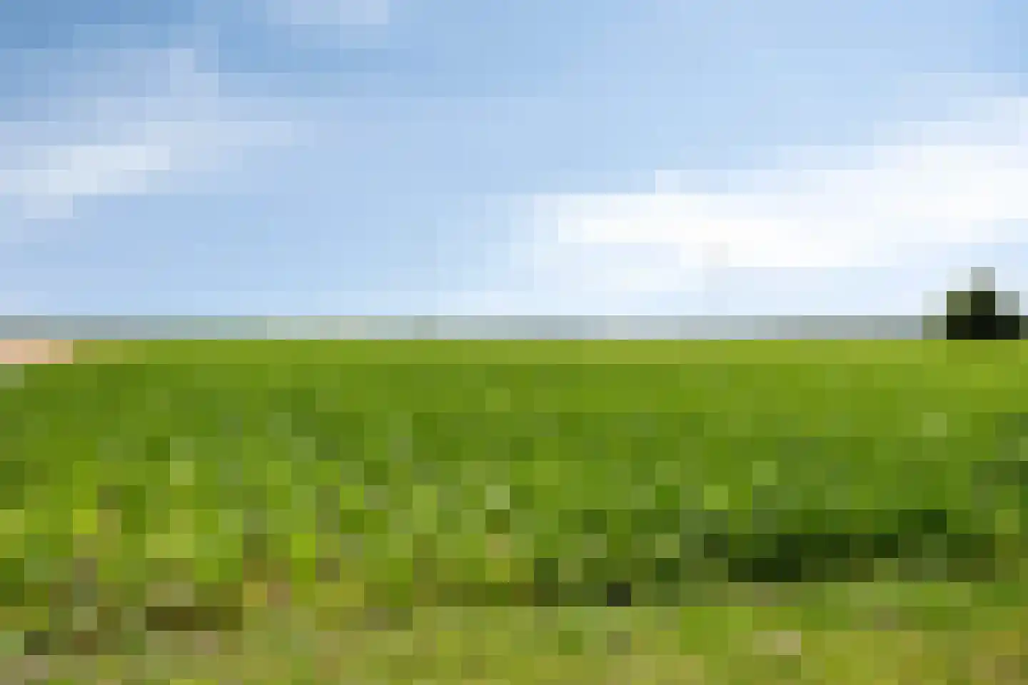 Zuiderdiep 141 2e Exloërmond thumbnail 40