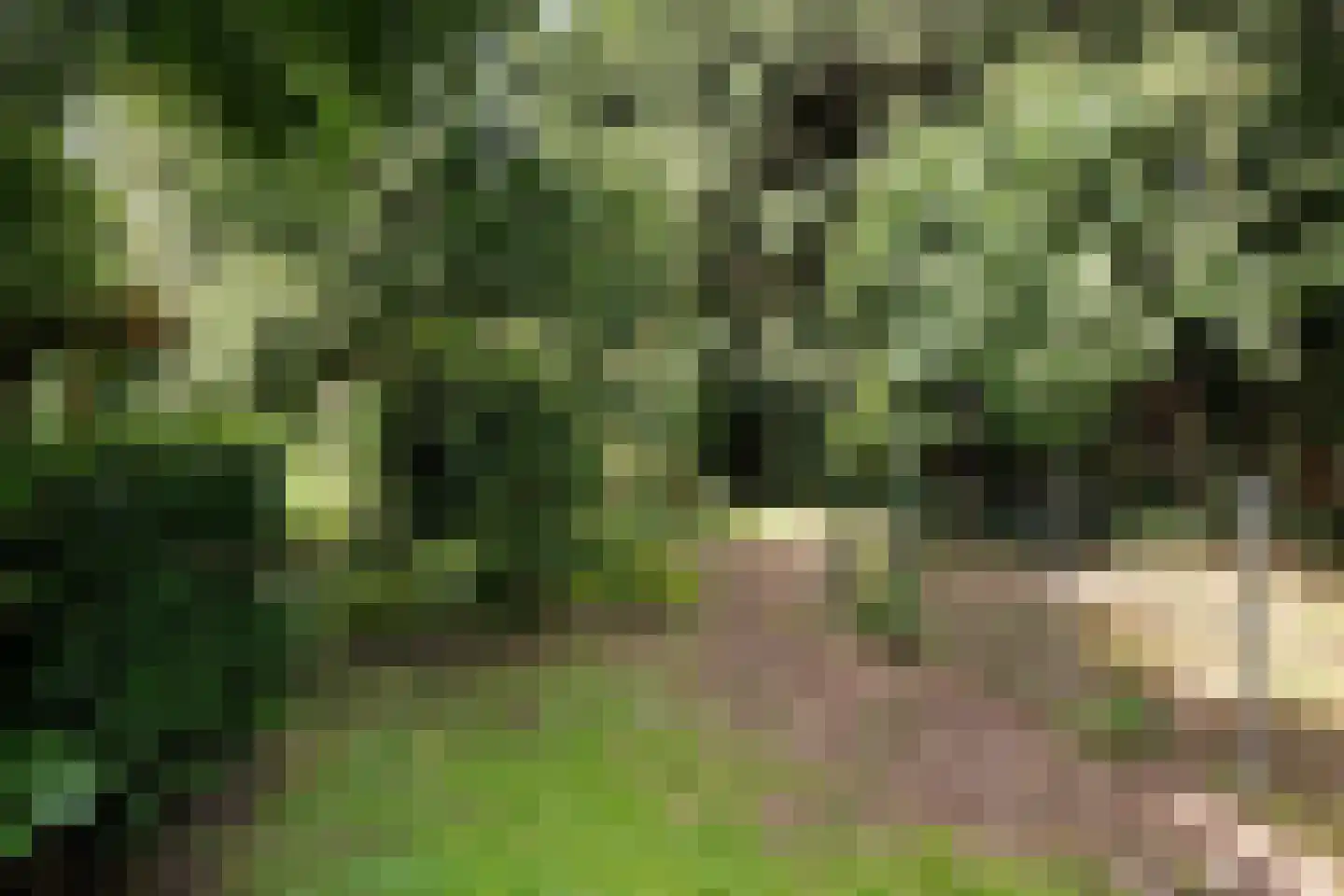Zuiderdiep 143 Drouwenermond thumbnail 20