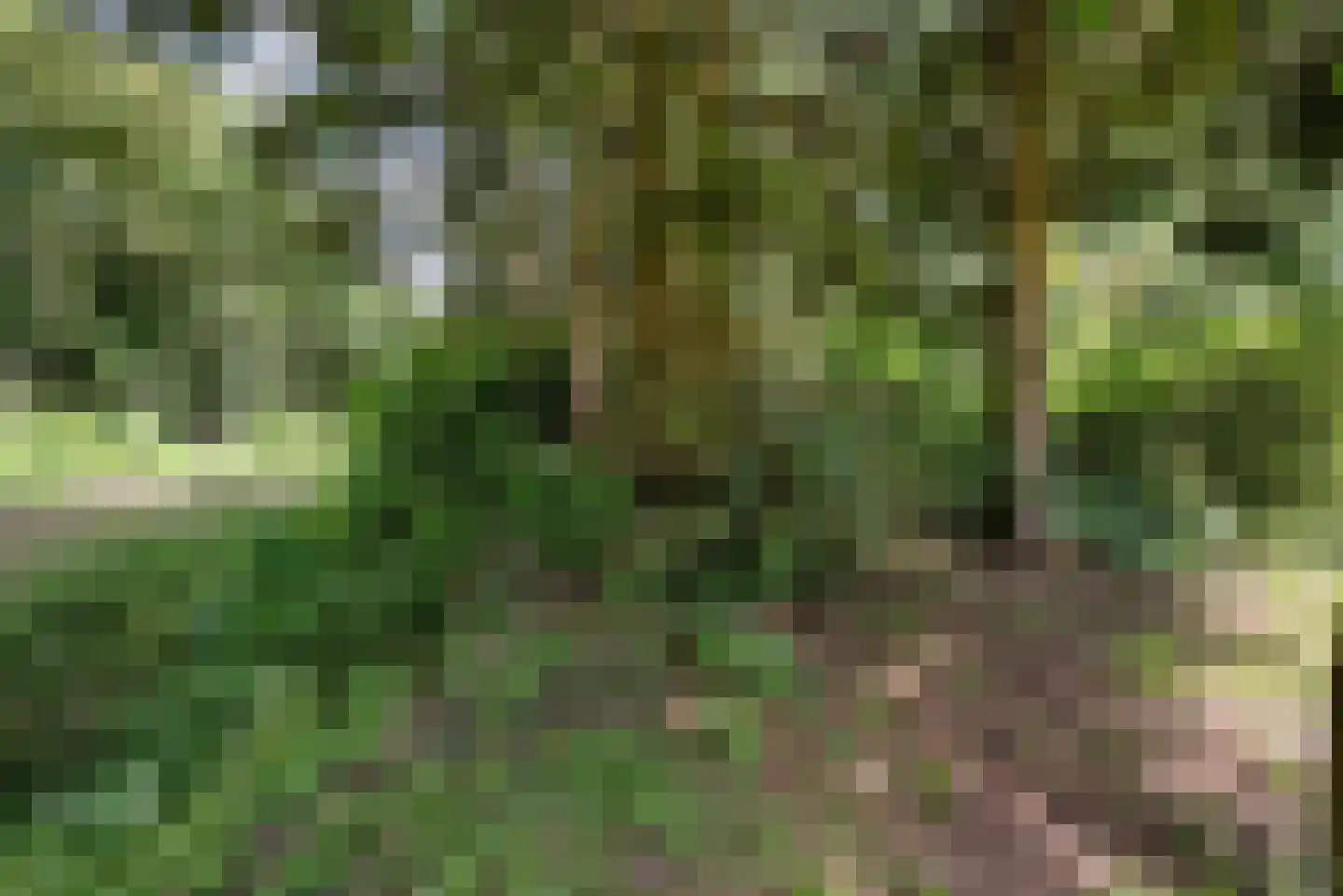 Zuiderdiep 143 Drouwenermond thumbnail 21