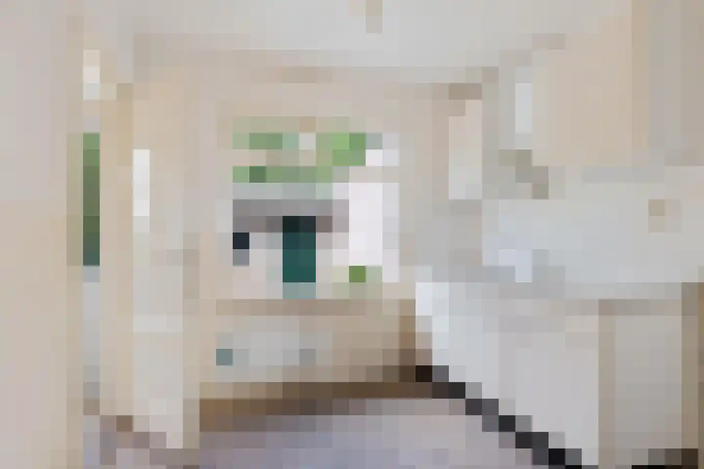 Zuiderdiep 143 Drouwenermond thumbnail 5
