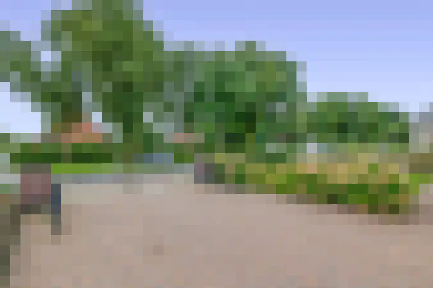 Zuiderdiep 167 2e Exloërmond thumbnail 13