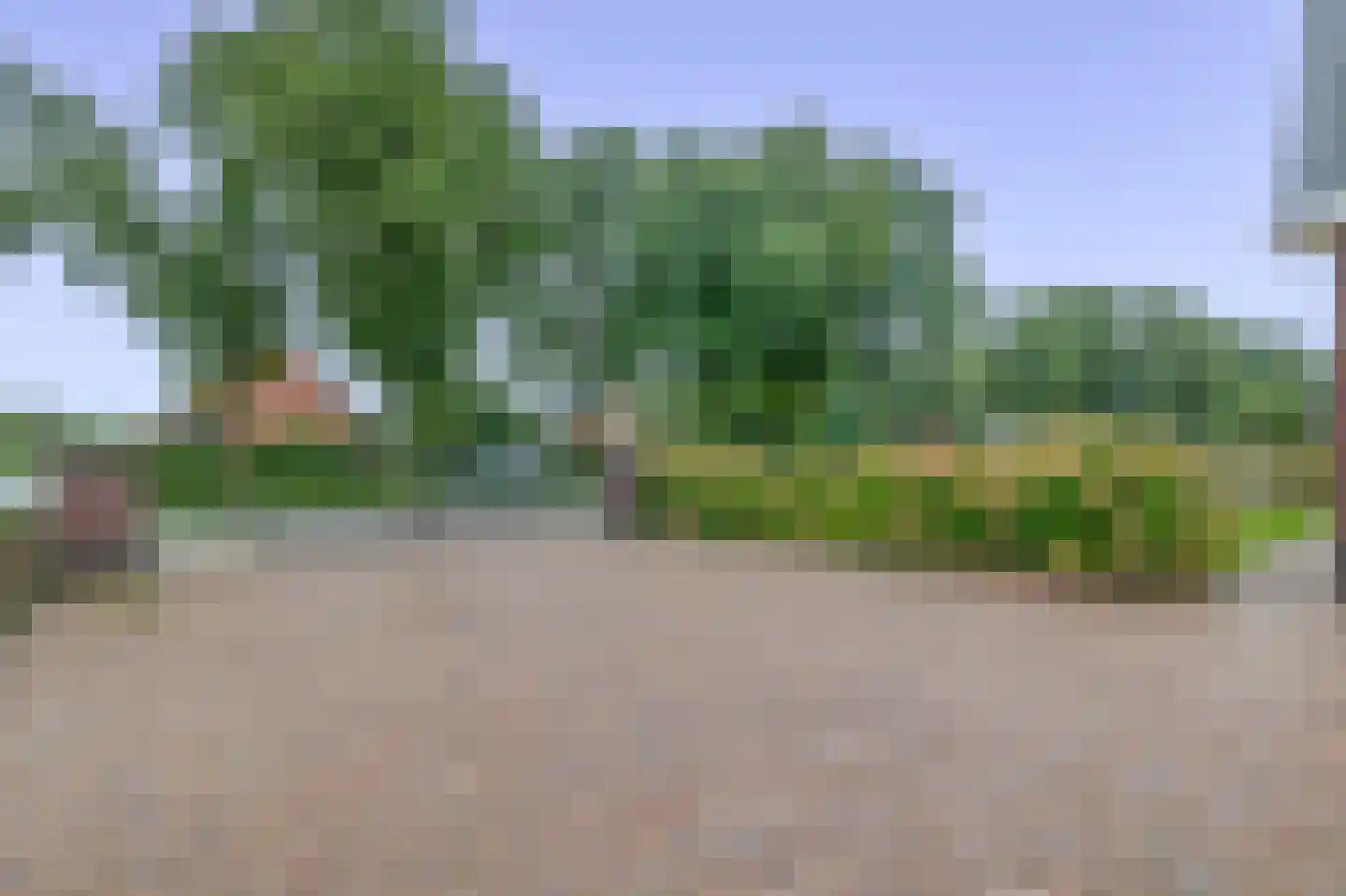Zuiderdiep 167 2e Exloërmond thumbnail 14