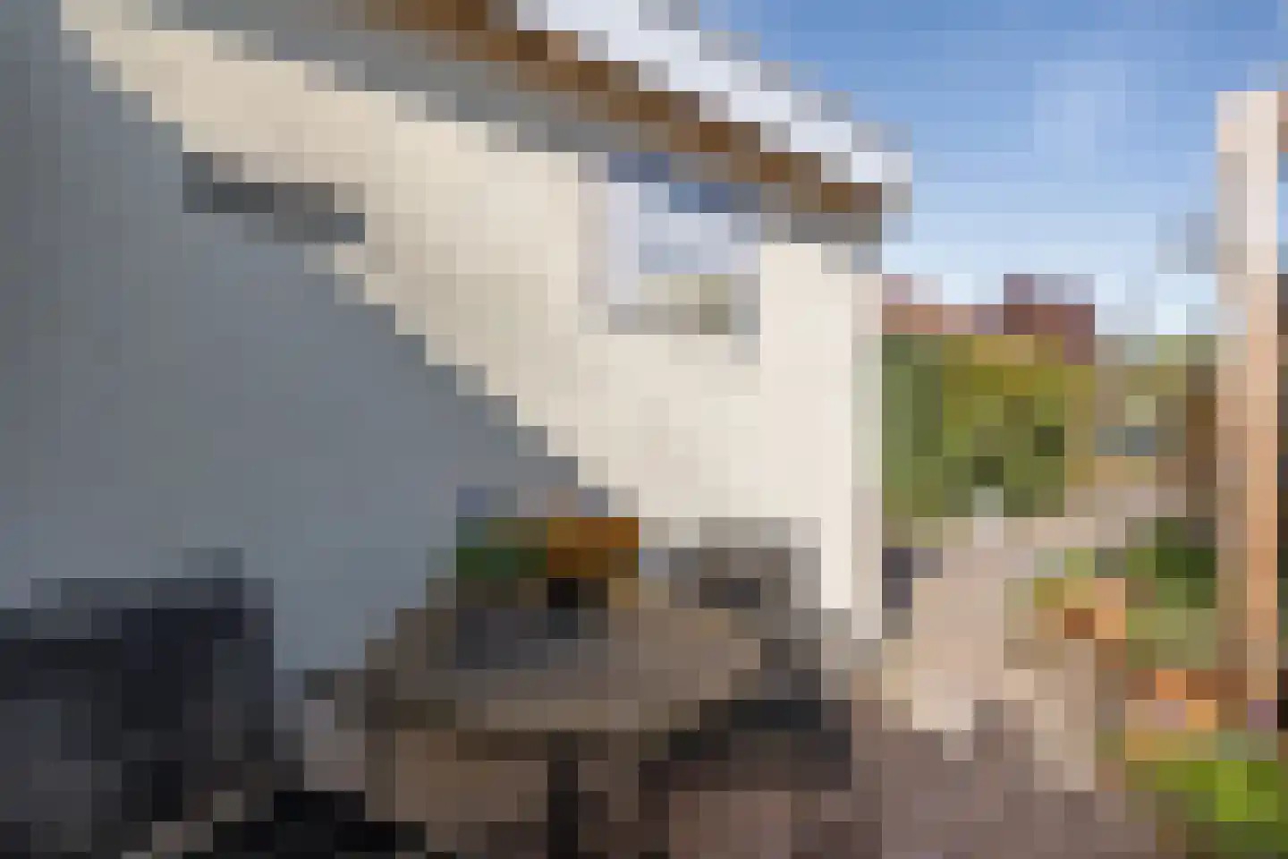 Zuiderdiep 179 Valthermond thumbnail 22