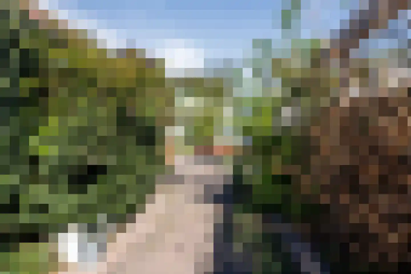 Zuiderdiep 179 Valthermond thumbnail 24
