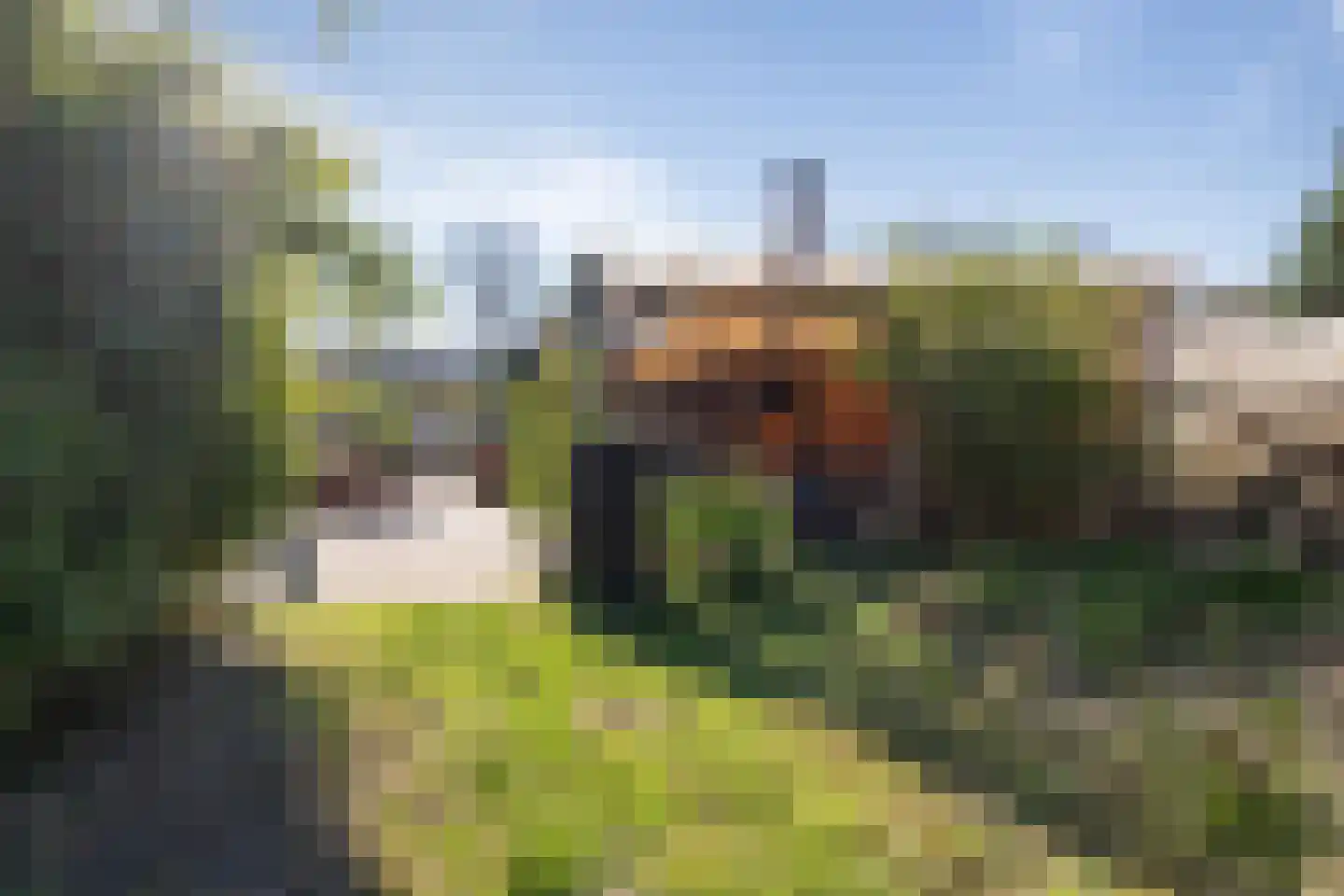 Zuiderdiep 179 Valthermond thumbnail 31